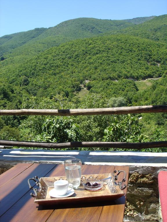 Villa Vadola Arkochorion Екстериор снимка